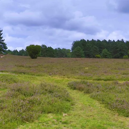 Western Heidehof Hotel 4*