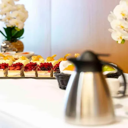 Plaza Heidehof 호텔