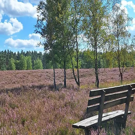 Otel Plaza Heidehof Hermannsburg