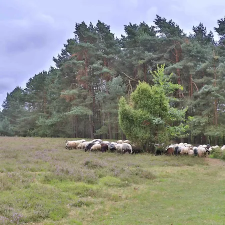 Plaza Heidehof Szálloda Hermannsburg