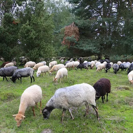 Szálloda Western Heidehof
