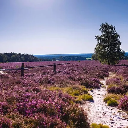 호텔 Plaza Heidehof