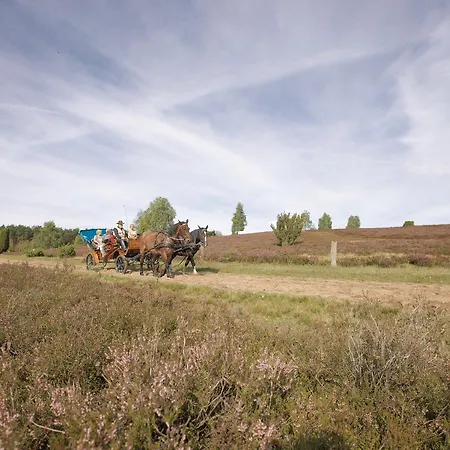 Western Heidehof Hotel 4*