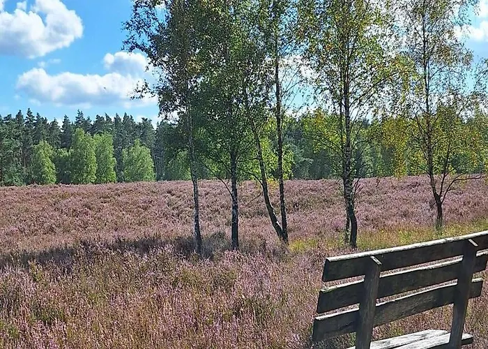 Hotel Plaza Heidehof Hermannsburg