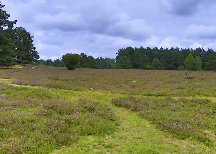 Plaza Heidehof Hotel Hermannsburg