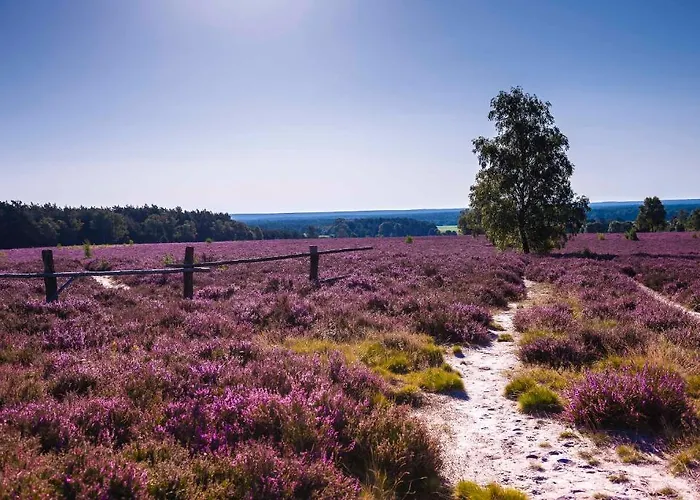 Hotel Plaza Heidehof