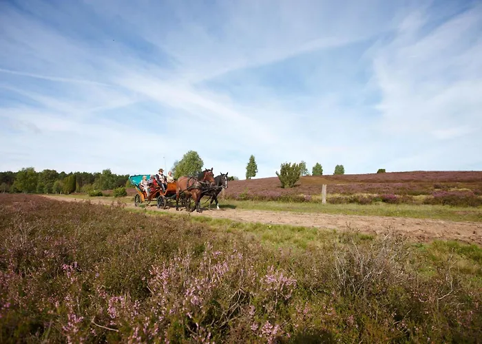 Plaza Heidehof Hotel 4*